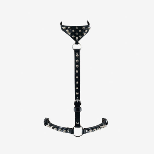B14 5HARNESS