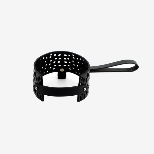 N82 CHOKER AND LEASH